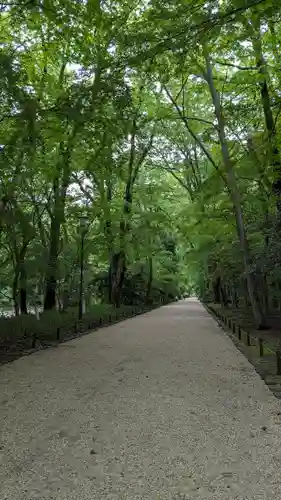 賀茂御祖神社（下鴨神社）(京都府)