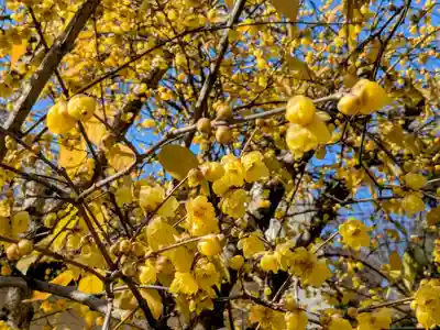 横浜　西方寺(神奈川県)