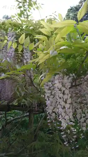 歌泉堂（春日大社神苑萬葉植物園内鎮座）(奈良県)