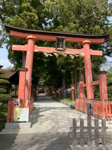 遠野郷八幡宮の鳥居