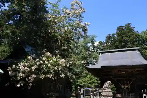 田村神社の景色