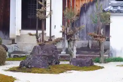 妙蓮寺(京都府)