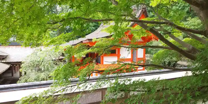 出雲大神宮の本殿・本堂