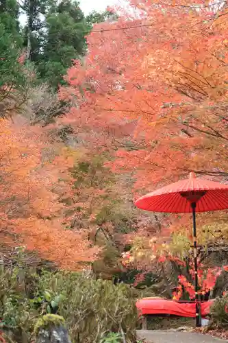 神護寺の庭園