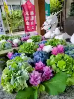 田無神社(東京都)