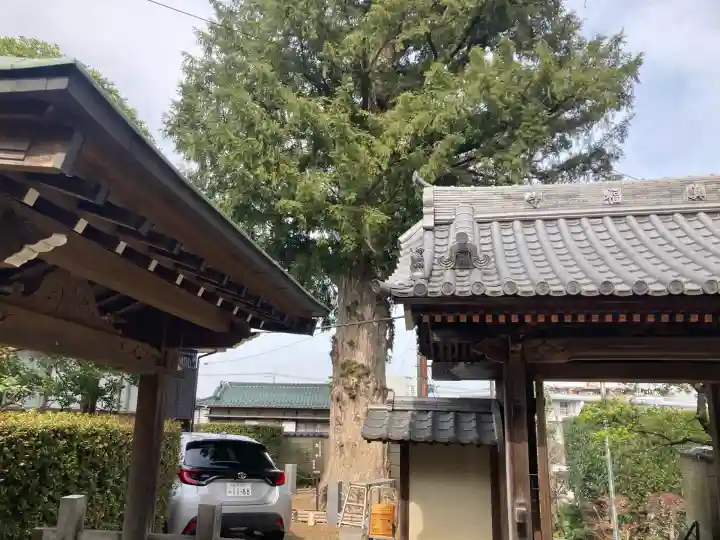 真福寺(神奈川県)