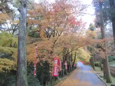 今熊野観音寺(京都府)