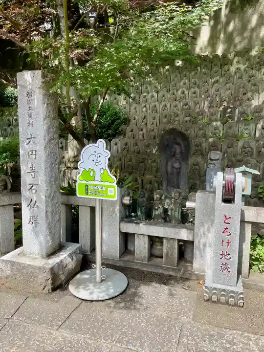 大圓寺(東京都)