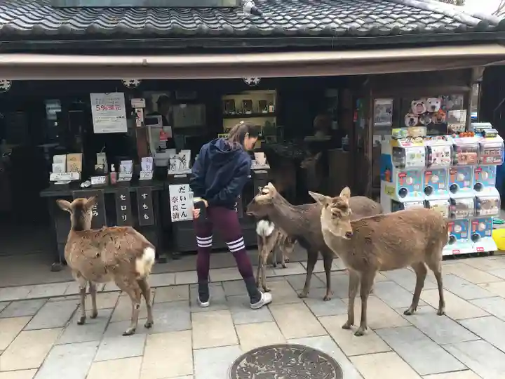 東大寺(奈良県)
