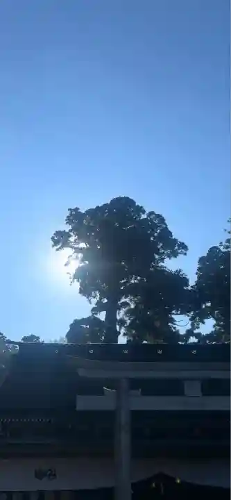 鹿島神宮(茨城県)