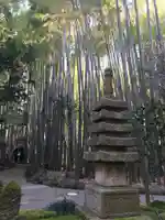 報国寺の塔