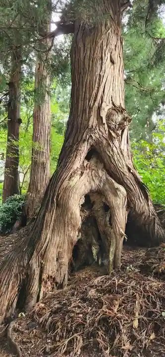 向川寺(山形県)