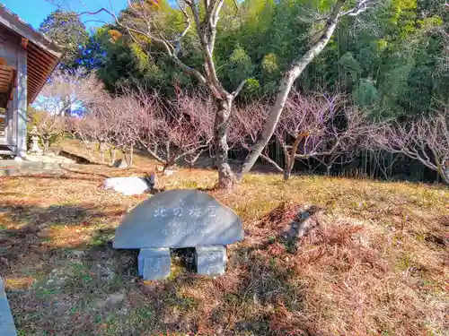 北野社（北野天満宮）の自然