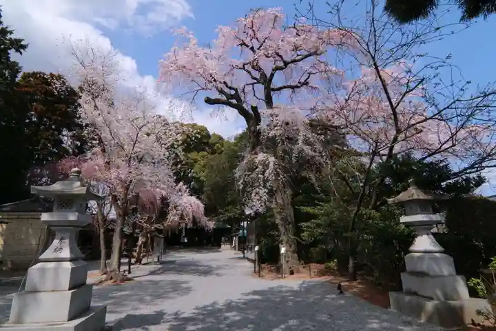 三島八幡神社の景色