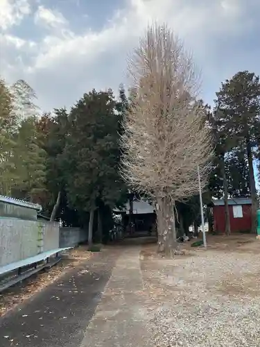 雷電神社(栃木県)
