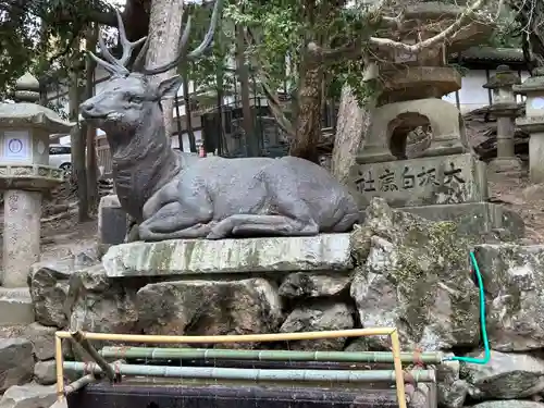 春日大社(奈良県)