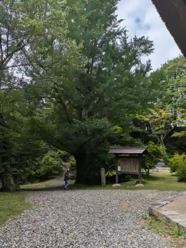 霊松寺(長野県)