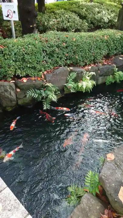 浅草寺(東京都)