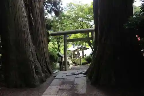 鹿島大神宮の鳥居