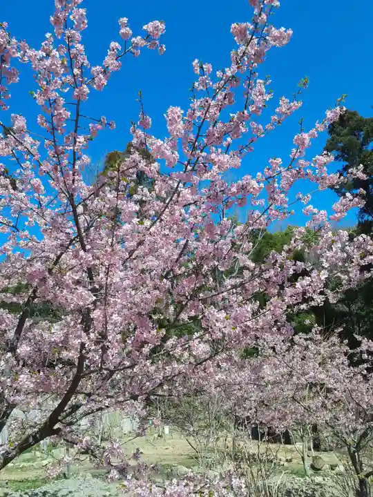 長楽寺(兵庫県)