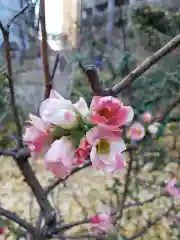 成子天神社の自然