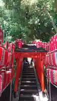 日枝神社の鳥居