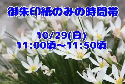 くまくま神社(導きの社 熊野町熊野神社)(東京都)