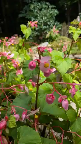 寂光院(京都府)