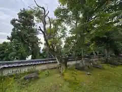 成相寺(京都府)