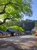 最乗寺(道了尊)(神奈川県)
