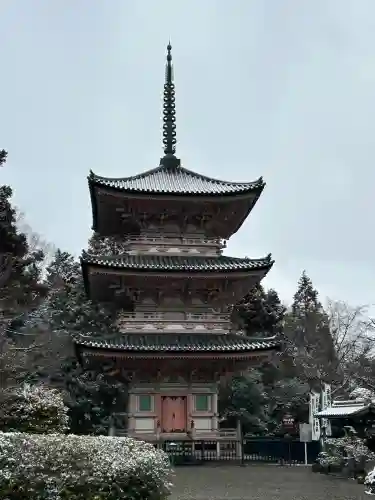 真禅院の{uncategorized: "未分類", other: "その他", undefined: "問題あり", building: "その他建物", grave: "お墓", sacred_gate: "鳥居", guardian: "狛犬", statue: "像", buddha: "仏像", history: "歴史", nature: "自然", garden: "庭園", animal: "動物", pagoda: "塔", temizu: "手水舎", mountain_gate: "山門・神門", sanctuary: "本殿・本堂", subordinate: "末社・摂社", art: "芸術", scenery: "景色", jizo: "地蔵", ema: "絵馬", goshuin: "御朱印", omikuji: "おみくじ", items: "授与品その他", amulet: "お守り", goshuincho: "御朱印帳", eats: "食事", festival: "お祭り", votive_dance: "神楽", shichigosan: "七五三参", wedding: "結婚式", experience: "体験その他", initially: "初詣", around: "周辺", anti_infection: "感染症対策"}