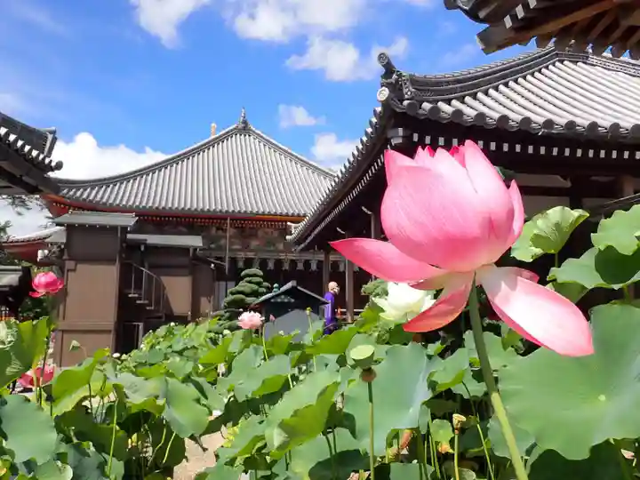 中山寺(兵庫県)