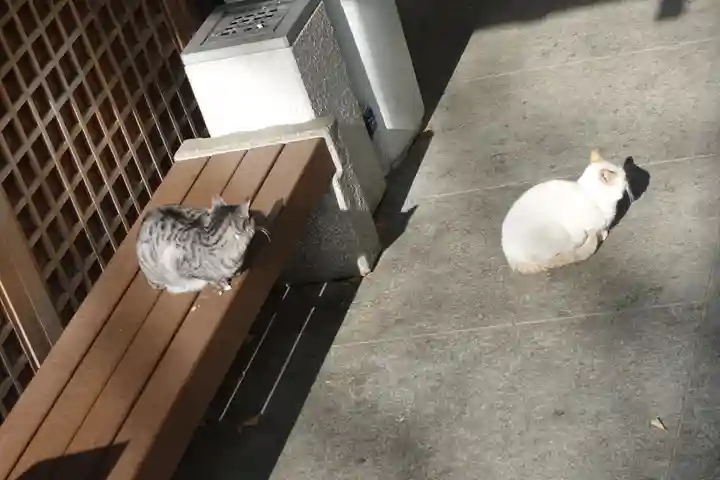 石切劔箭神社の動物