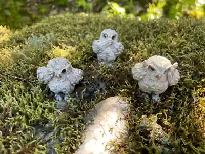 神藏寺(京都府)