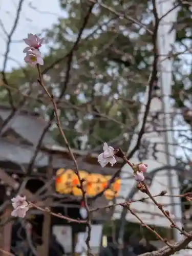 若宮八幡社(愛知県)