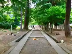 三芳野神社の動物