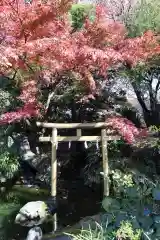 愛宕神社の鳥居