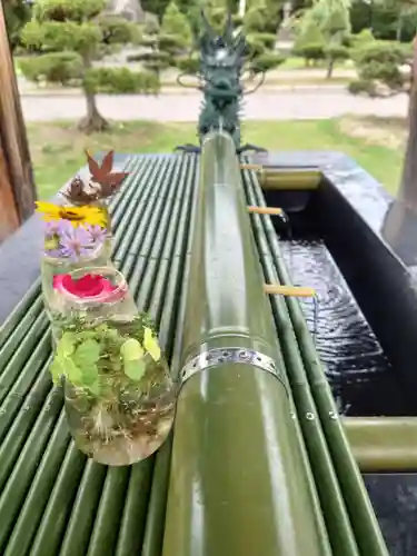 美瑛神社の手水舎