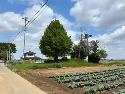 山王神社(茨城県)