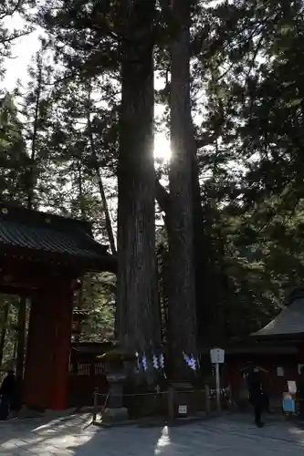 日光二荒山神社(栃木県)
