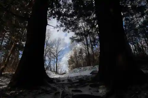 鹿島大神宮の自然
