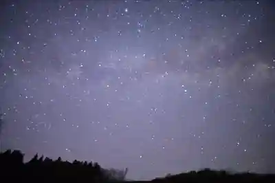 高龍神社(新潟県)