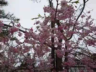 厳島神社(広島県)