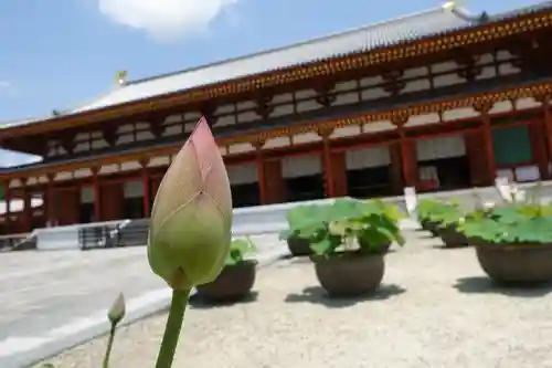 薬師寺のその他建物
