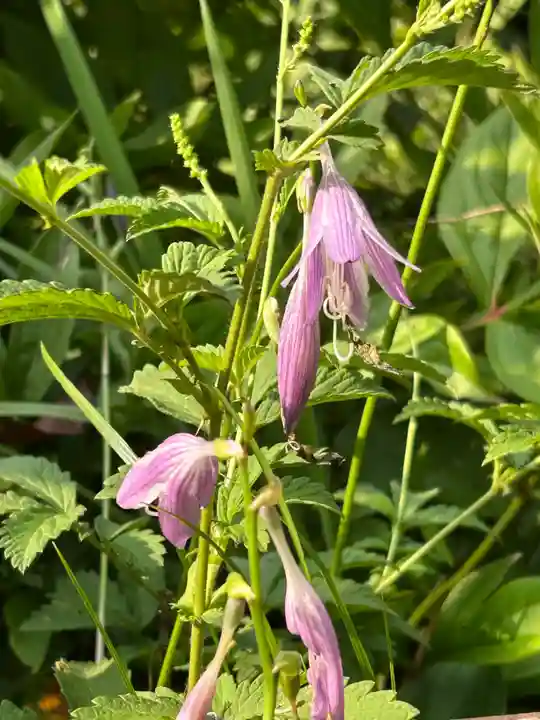 国宝 大法寺(長野県)