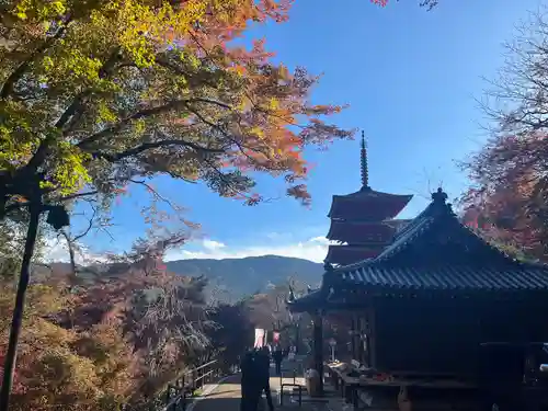 長谷寺(奈良県)