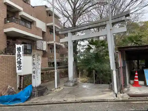 蝮ヶ池八幡宮の鳥居