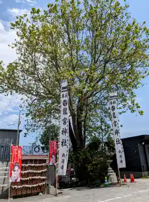 龍宮神社(北海道)