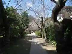 極楽寺（霊鷲山感應院極楽律寺）の景色