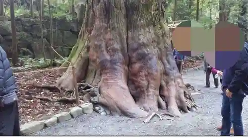 伊勢神宮内宮（皇大神宮）(三重県)